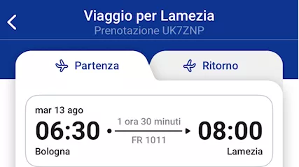 2 biglietti aerei Bologna - lamezia