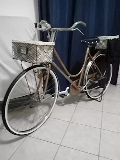 Bici usata con freni a bacchetta