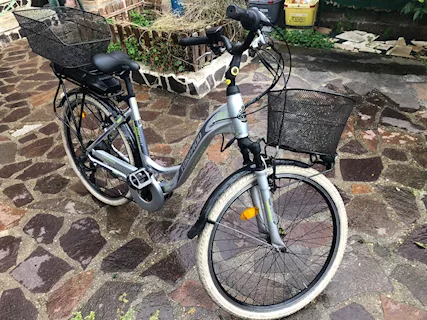 Bici elettrica