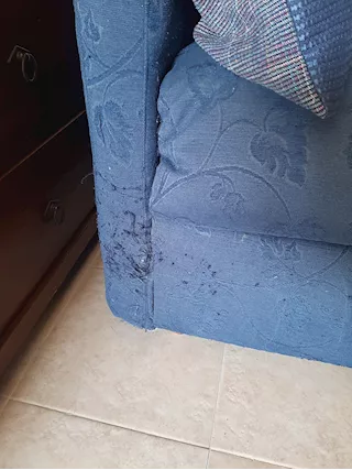 Divano letto - Foto 2