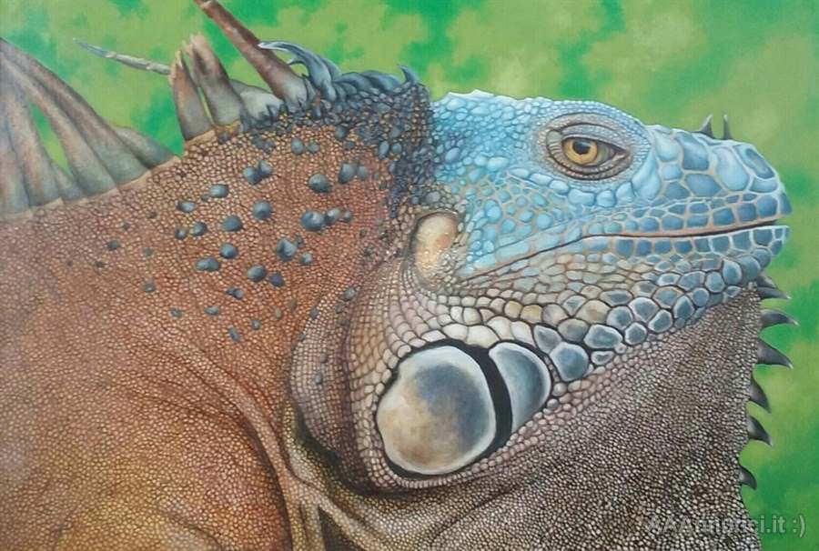 Dipinto IGUANA