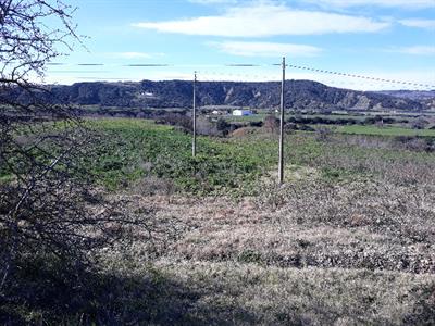 Loc. Pantano Pisticci, Terreni