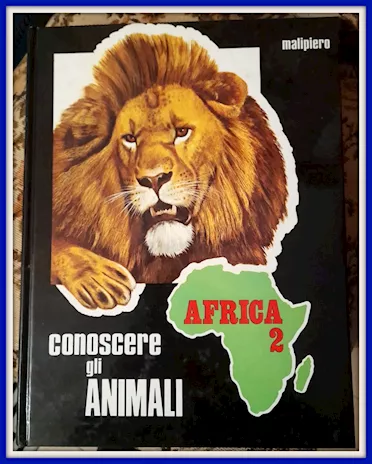 Raccolta anni '70 Malipiero Conoscere gli animali n. 7 volumi - Foto 5