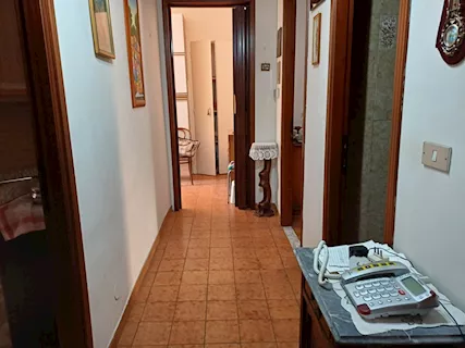 Foto - 7