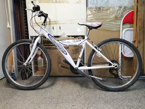 Mountain bike da uomo o ragazzo