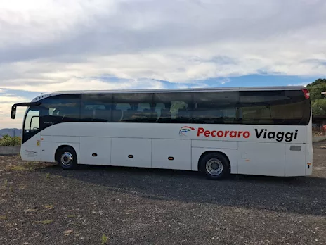 Vendo magelys anno 2017 Euro 6 posti Iveco Km 0, cambio manuale - Anteprima 2