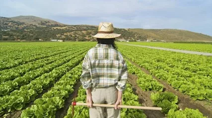 Azienda Agricola Serena Montichiari