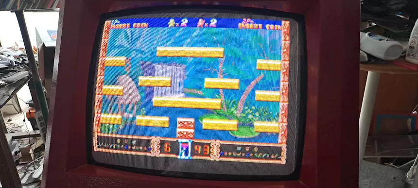 Scheda arcade cactus