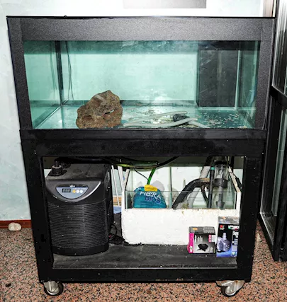 Acquario marino