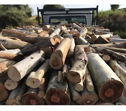 Vendo legna da ardere - Anteprima 1