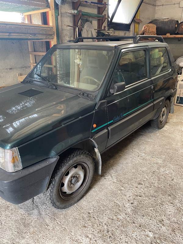 Fiat Modello Panda 4x4 Benzina Manuale - Foto 1