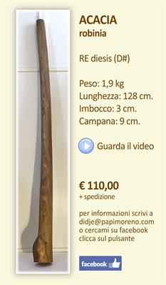 Didgeridoo - Foto 4