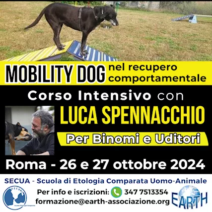 Corso di Mobility Dog con Luca Spennacchio