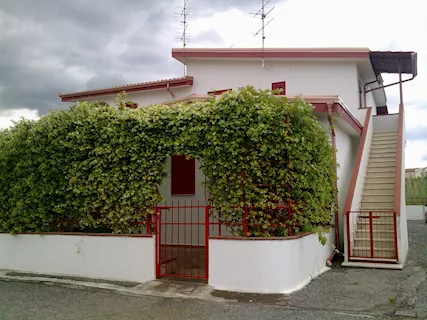 Casa per vacanze in Calabria Santa Maria del Cedro - CS