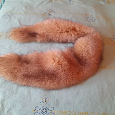 Collo di volpe
