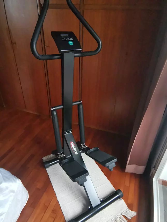Stepper con sostegno, in buone condizioni