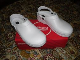 Zoccolo sanitario