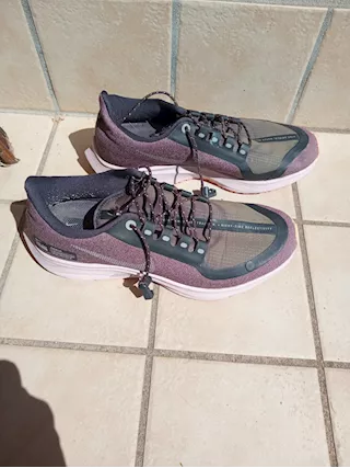 Nike Pegasus TG 36