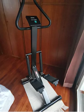 Stepper con sostegno, in buone condizioni - Anteprima 1