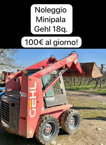 Noleggio minipala Gehl peso 18 q.li