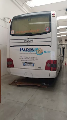 Lion's Coach