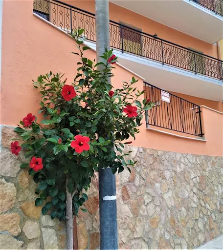Appartamento Vito Inferiore Reggio Calabria