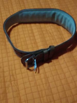 Cintura da Palestra Ortosan