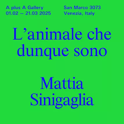 L’animale che dunque sono | Mattia Sinigaglia