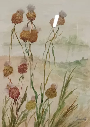 Acquerello FIORI DI CAMPO - Foto 2
