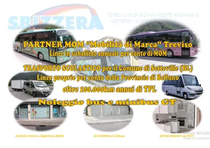 Vendita storica azienda TPL NCC