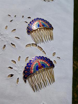 Pettini per capelli a