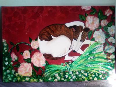 Quadro levriero whippet