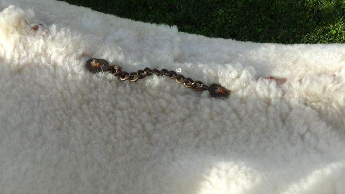 Foto 5Montone shearling originale uomo