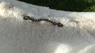 Montone shearling originale uomo - Anteprima 5