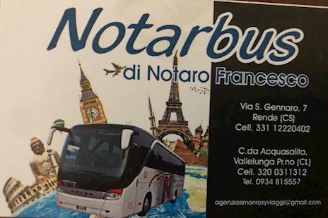 Coppia sedili Irizar PB