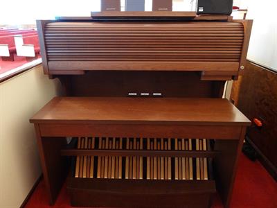 Organista Manerbio