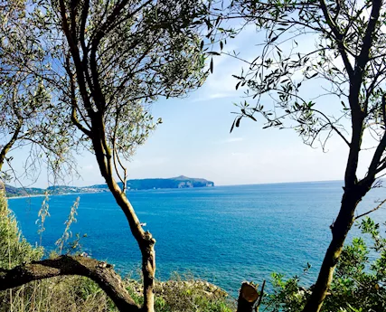Speciale vacanza a Palinuro