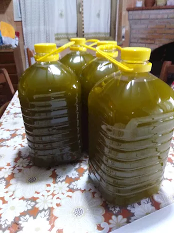 Olio extravergine di oliva