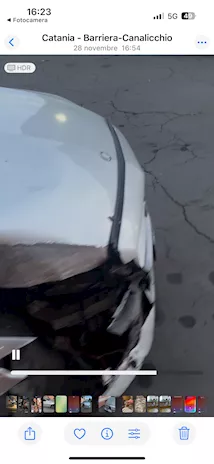 Mercedes incidentata