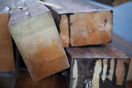 Travi in Legno 350x16x10 cm - 24288