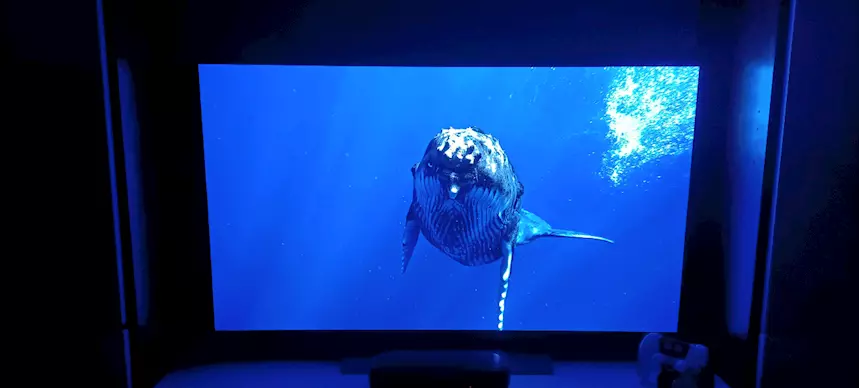 Foto 3OLED C4 48 LG, in ottime condizioni