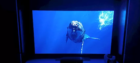 OLED C4 48 LG, in ottime condizioni - Anteprima 3