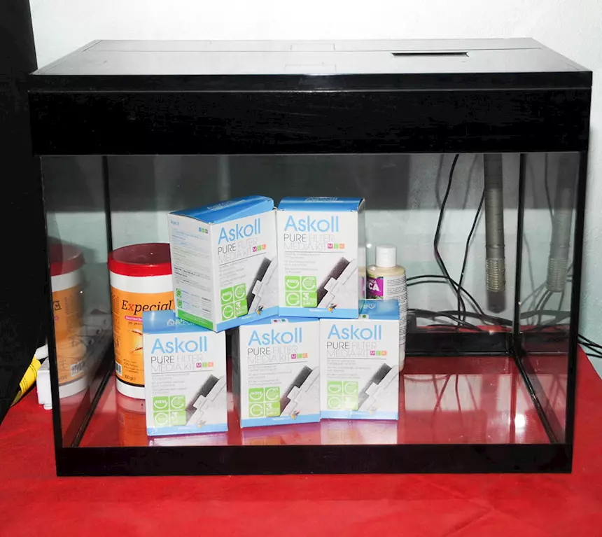 Acquario Askoll