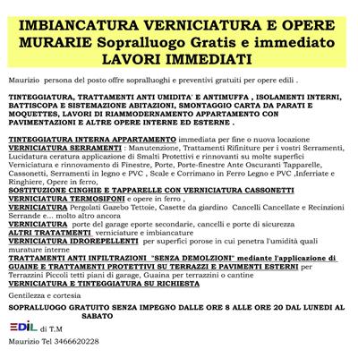 Imbiancatura, ristrutturazione, antimuffa, antiumidità, in legno - Foto 2