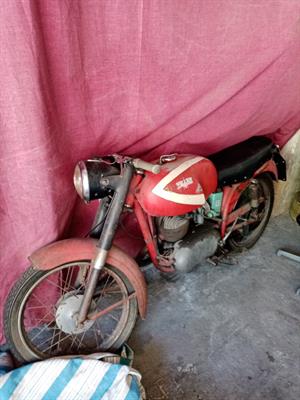 Moto bianchi 125