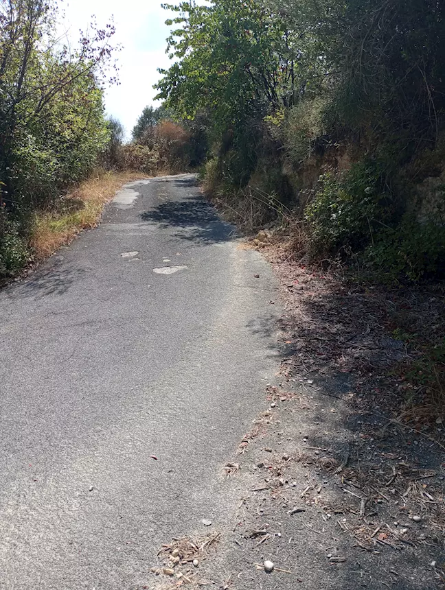 Terra -terreno 42000 m 20000 m bosco