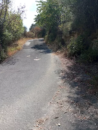 Terra -terreno 42000 m 20000 m bosco