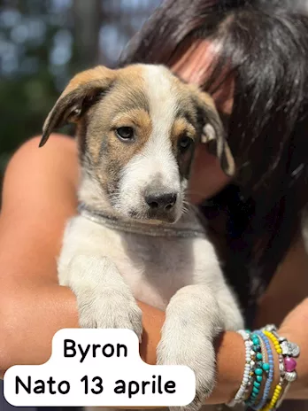 Byron 3 mesi mollato