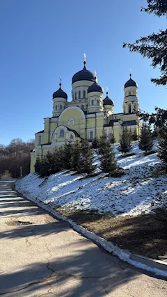 Badante Moldava
