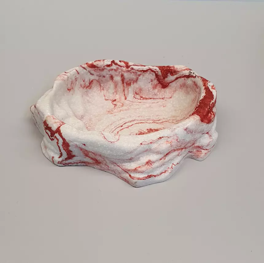 Mangiatoia per rettili